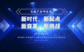 DMO:多肽创新药CDMO、原料药产业化项目可行性研究报告_ADMONKEY