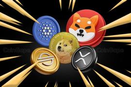 热点币:（必须收藏）关于筛选百倍币，强势币的几个逻辑（下）_Stealthcoin