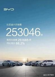 ACE:上半年成绩出炉!比亚迪交出125.56万辆答卷,坐稳冠军宝座_CoinFarm