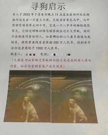 DMO:离谱！找狗悬赏1000万，找回后却只给5000，律师：或涉及犯法_DMOD币