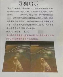 520:郑州“悬赏千万元寻狗”疑点重重，律师：如虚构信息造成不良影响，发布者将受处罚_520价格