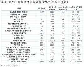 LIO:2023年二季度GDP同比增速预测均值6.97%，经济恢复期寄望更多政策托举丨第一财经首席经济学家调研_lion币局