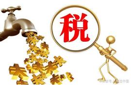 ETC:所得税征收方式有哪些？所得税征收方式的选择.PPT第49页_小硬币历险记300