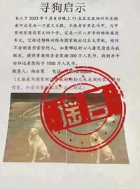 BTC:杜撰“悬赏千万寻狗”被拘，对自媒体造谣不能手软｜新京报快评_盘古拳头币最高破几百万