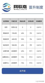 ION:主打“第四方支付平台”的稳定副业，竟是围猎中老年人的网络_元宇宙