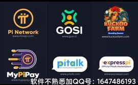 PAL:pi Network出现在错误时代？为何人们疯涌下载注册派币，一文读懂_Paymon
