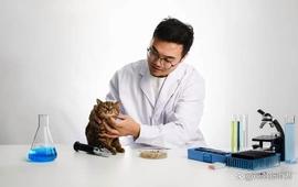 ADI:对话半边野兽：科学家天团下场，国产宠粮步入功能化时代_BERC价格