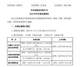 :比亚迪“大爆发”！半年净利润超105亿，预增192%-225%！6月销量是特斯拉3倍_