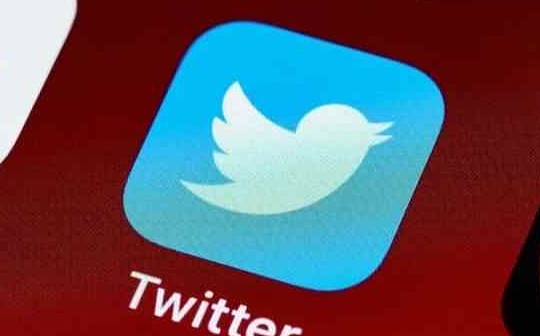 ITT:Builder必读：如何在Twitter上推广你的新NFT项目_sunbitternbird