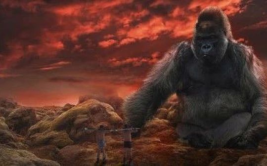 STE:回顾2022加密年度事件：跌宕起伏、魔幻现实与断臂求生_justice币怎么样