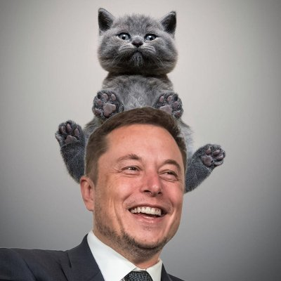 ELON CAT COIN|ELONCAT_ELONCAT币价格_ELONCAT最新价格_ELONCAT交易所