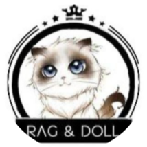 布偶猫|RAGDOLL_RAGDOLL币价格_RAGDOLL最新价格_RAGDOLL交易所