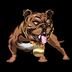 比特犬|BTG_BTG币价格_BTG最新价格_BTG交易所