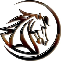 MustangCoin|MST_MST币价格_MST最新价格_MST交易所