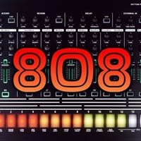 808Coin|808_808币价格_808最新价格_808交易所