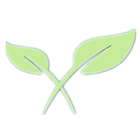 DETOX|DTX_DTX币价格_DTX最新价格_DTX交易所