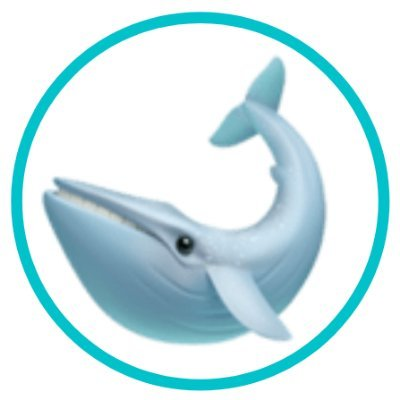 Whale Loans|HUMP_HUMP币价格_HUMP最新价格_HUMP交易所