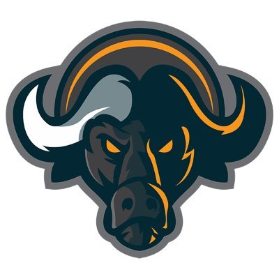 Buffalo Swap|BUFF_BUFF币价格_BUFF最新价格_BUFF交易所