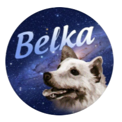 Belka|BLK_BLK币价格_BLK最新价格_BLK交易所