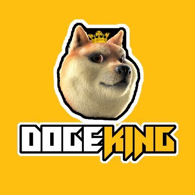 DogeKing Metaverse|DOGEKING_DOGEKING币价格_DOGEKING最新价格_DOGEKING交易所