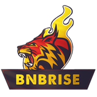 BNBRise|BRISE_BRISE币价格_BRISE最新价格_BRISE交易所