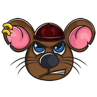 Hoodrat|HOODRAT_HOODRAT币价格_HOODRAT最新价格_HOODRAT交易所