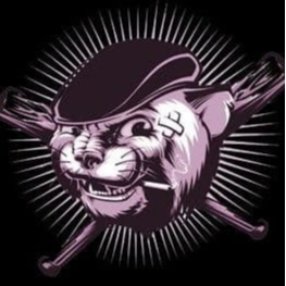TopCat|TOPCAT_TOPCAT币价格_TOPCAT最新价格_TOPCAT交易所