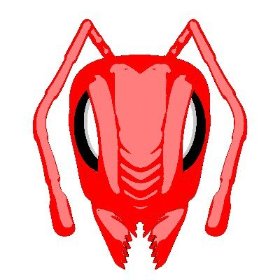 Wrapped FireAnts|WANTS_WANTS币价格_WANTS最新价格_WANTS交易所