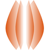 贝壳|BAC_BAC币价格_BAC最新价格_BAC交易所