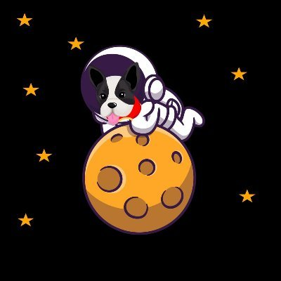 Space Doge|SPACEDOGE_SPACEDOGE币价格_SPACEDOGE最新价格_SPACEDOGE交易所