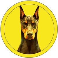 Dobermann Token|DOBE_DOBE币价格_DOBE最新价格_DOBE交易所