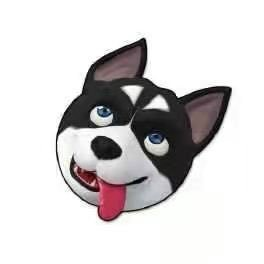 单身狗币|SDOG_SDOG币价格_SDOG最新价格_SDOG交易所