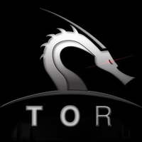TORCHAIN|TOR_TOR币价格_TOR最新价格_TOR交易所