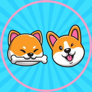 ShibaCorgi|SHICO_SHICO币价格_SHICO最新价格_SHICO交易所