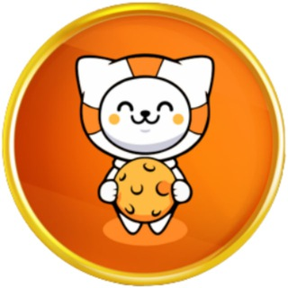 Floki Cat|FCT_FCT币价格_FCT最新价格_FCT交易所