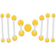 extraDNA|XDNA_XDNA币价格_XDNA最新价格_XDNA交易所