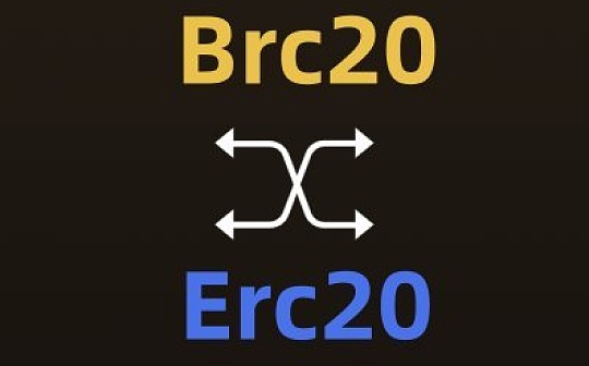 DINA:一文快速了解各类新晋“X”RC20_Wrapped Ordichains