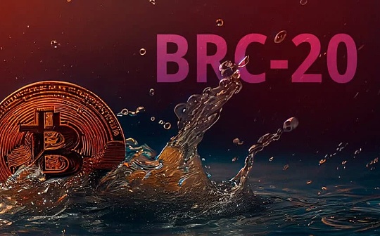 ORDI:深入探讨 BRC-20 代币标准_加密的pdf怎么转换成word文档