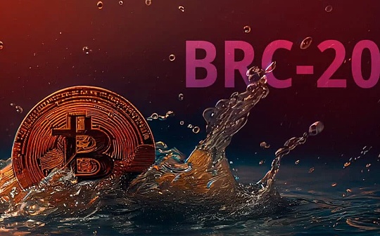 区块链:为什么推特KOL都在BRC赚钱 我一冲就亏？_区块链证据保全怎么操作流程
