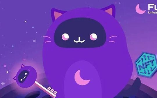 NFT:Furion：将 NFT 转化为 ERC-20 镜像通证的新探索_TOKE
