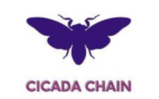 BSP:a16z：Cicada如何利用时间锁谜题和ZK证明实现链上投票_ADA