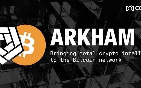 PIN:币安新IEO项目Arkham:链上信息共享平台还是告密帮凶?_OPINU