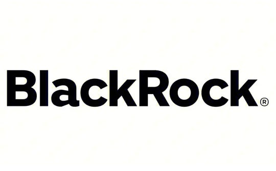 比特币:喜忧参半的BlackRock比特币信托_Black Kishu Inu