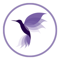 Hummingbird Finance|HMNG_HMNG价格_HMNG最新价格_HMNG交易所