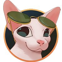 Bingus Token|BINGUS_BINGUS价格_BINGUS最新价格_BINGUS交易所