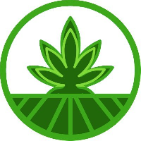Strains Finance|SFN_SFN价格_SFN最新价格_SFN交易所