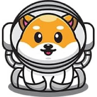 BabySpaceFloki|BSF_BSF价格_BSF最新价格_BSF交易所