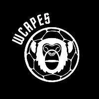 WCAPES|WCA_WCA价格_WCA最新价格_WCA交易所