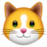 KittenFinance|KIF_KIF价格_KIF最新价格_KIF交易所