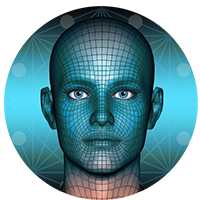 Metaverse Face|MEFA_MEFA价格_MEFA最新价格_MEFA交易所